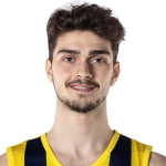 Yigit Hamza Mestoglu