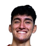 Sebastian I. Villarroel Tapia