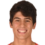 Apostolos Nikolaidis