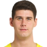 Bogdan Radosavljević