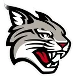 Davidson Wildcats