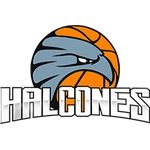 Halcones de Ciudad Obregón