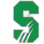 Salem International Tigers