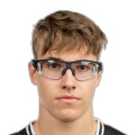 Bine Gabrijel