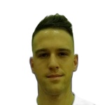 Aleksander Mitrovic
