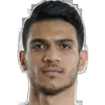Mohammadmahdi Lakzaifard