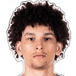 Theo Sourin