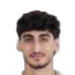 Radin Alizadeh