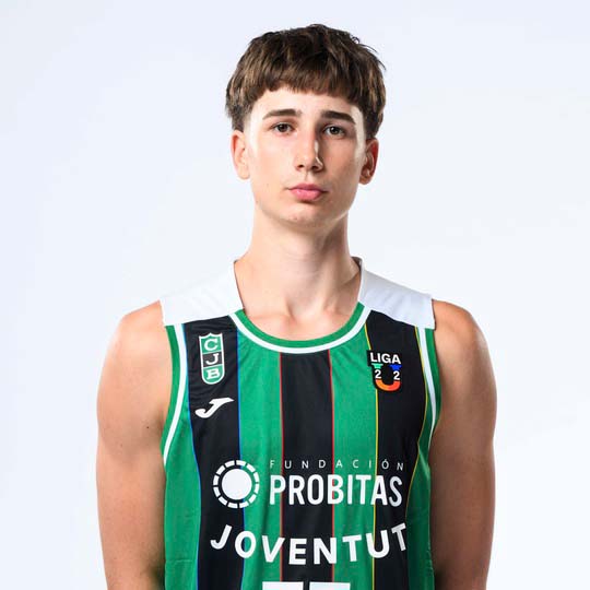 H. PETROVICS