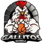 Gallitos de Isabela